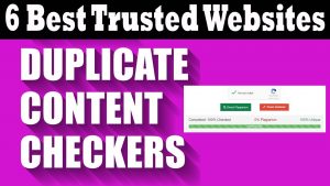 DUPLICATE-CONTENT-CHECKER-WEBSITE (1)